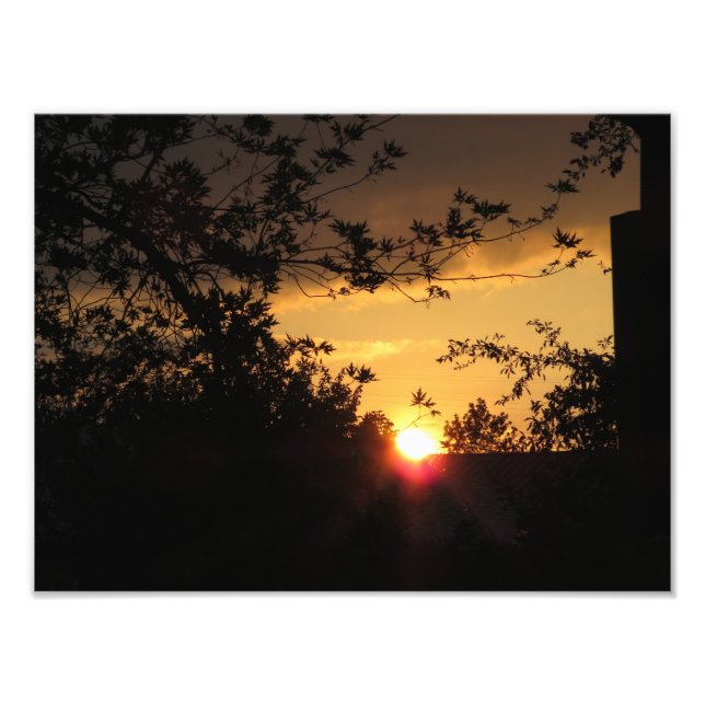 Belle photo coucher de soleil (Devant)