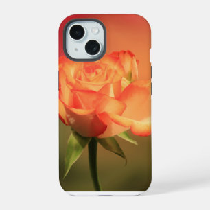 Belle photo de Rose romantique