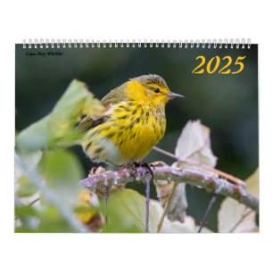 Belle photo d'oiseaux 2025 Calendrier Bluebird