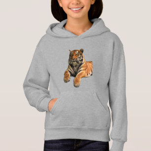 Belle photo Tigre du Bengale Visage et pattes