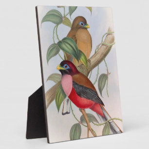 Belle plaque de table aux oiseaux Vintages avec de