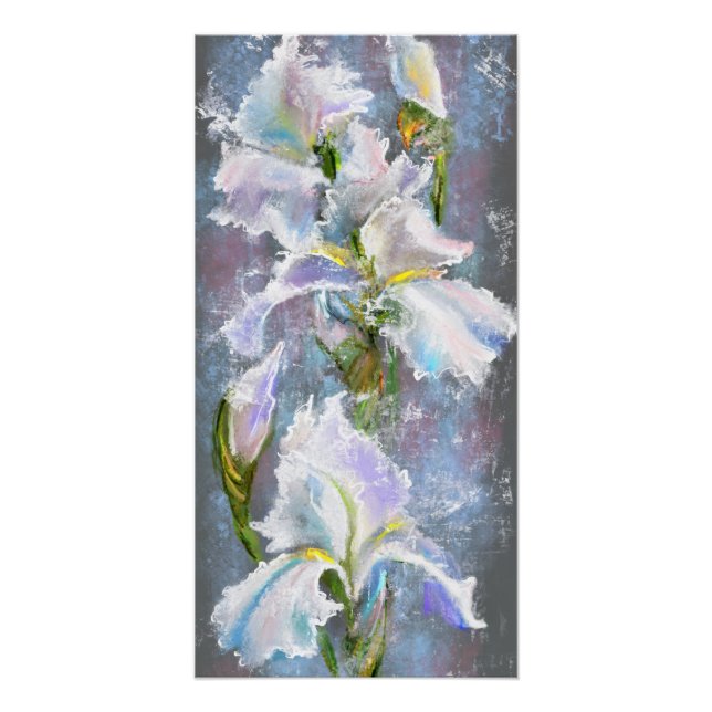 Belle Poster Fleurs Iris Blanches (Devant)