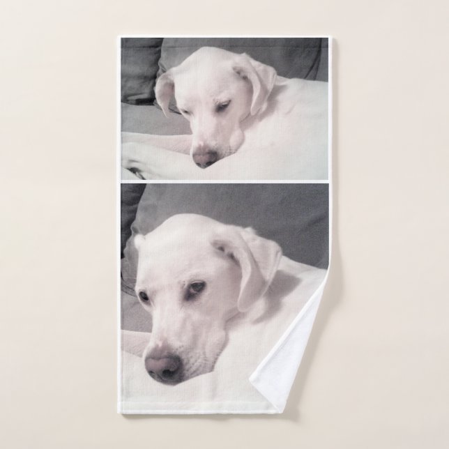 Belle Regal Blanc Labrador Mix Chien Gris Main T (Serviette à main)
