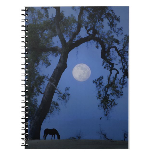 Belle Revue Carnet Horse, Chêne Arbre Lune (Devant)