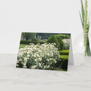 Belle Rose Garden Floral Photo Carte personnalisée