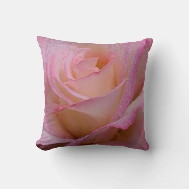 Belle rose rose coussin (Recto)