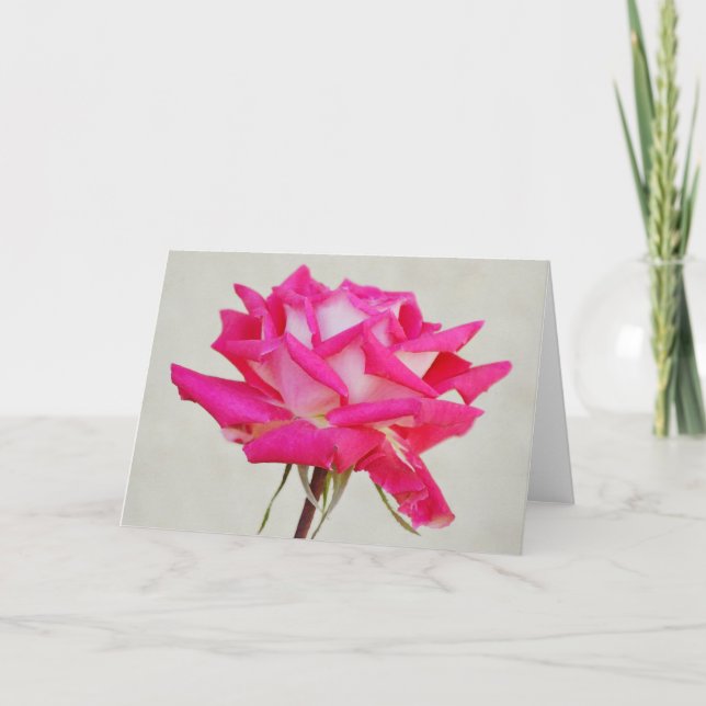Belle rose rose en fleur Carte de notes d'art (Devant)