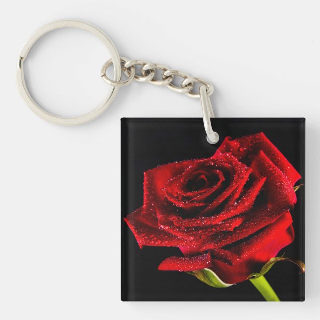 Belle rose rouge (Devant)