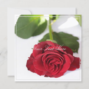 Belle Rose rouge Votre Carte Appartement Texte