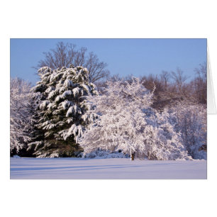 Belle scène de neige