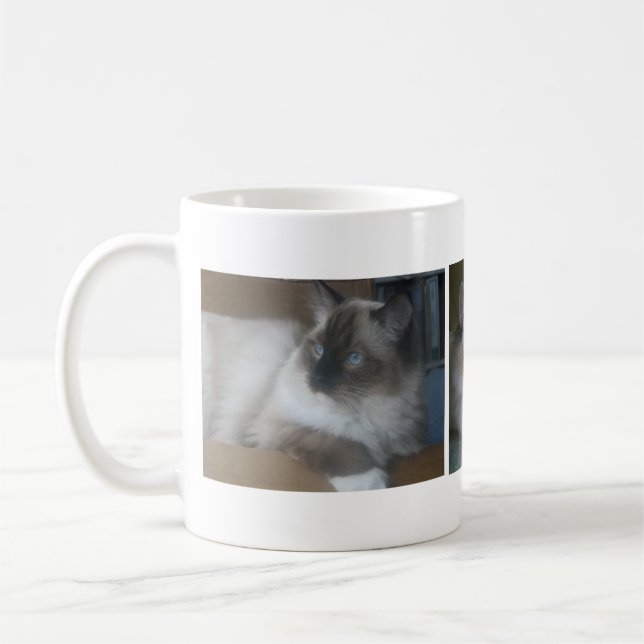 Belle tasse de café de chat de Hymalayan Ragdoll (Gauche)