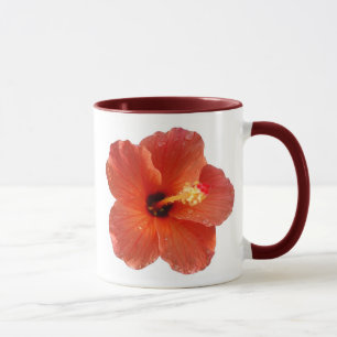 Belle tasse de ~ de Hibiscis