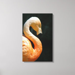 Belle toile Flamant rose enveloppée !