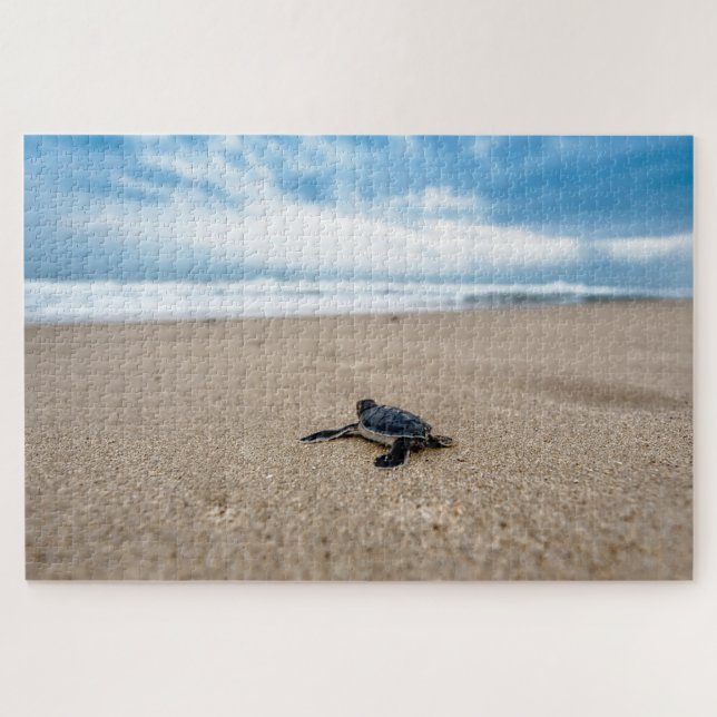 Belle Tortue de mer Jigsaw Puzzle (Horizontal)