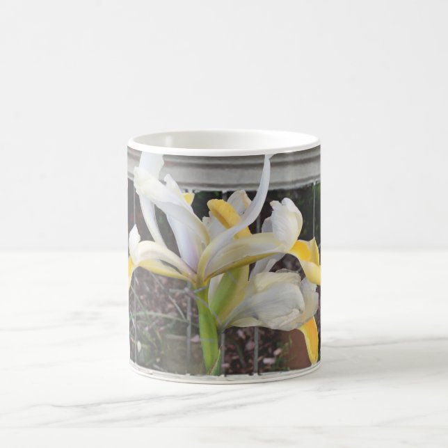 Belle Tulipe Fantastique Dans La Mug Élégante Fenê (Centre)