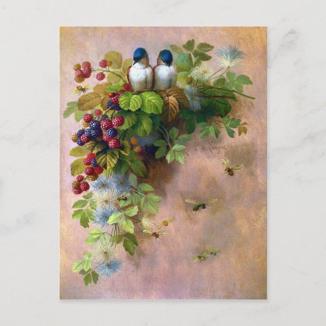Belle Vins de Berry et Blue Birds Carte postale (Devant)