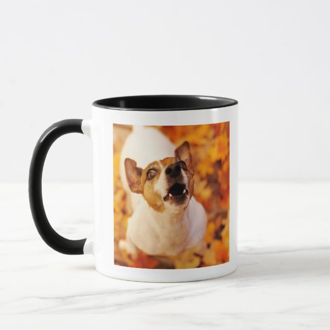 Bellender und springender Jack-Russell-Terrier, Tasse (Links)