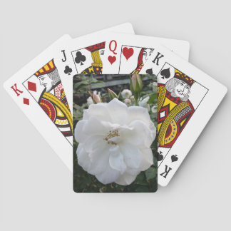 Belles cartes de jeu