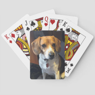 Belles cartes de jeu de beagle