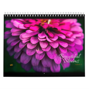 Belles fleurs Calendrier Volume 2