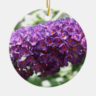 Belles fleurs de bouddleia violet ornements