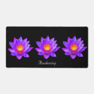 Belles fleurs de lotus sur fond noir