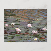 Belles nappes d'eau do-it-yourself carte postale