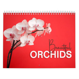 Belles orchidées avec Notes Calendrier mural 2022