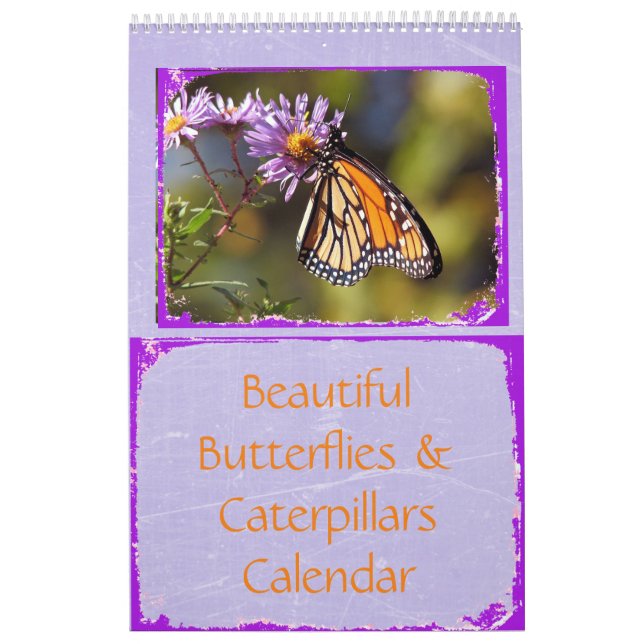 Belles papillons et chenilles Calendrier (Protection)