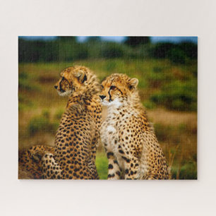 Belles Soeurs et Frères Guépards, Puzzle