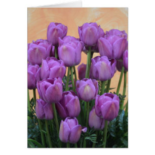 Belles tulipes à ressort violet