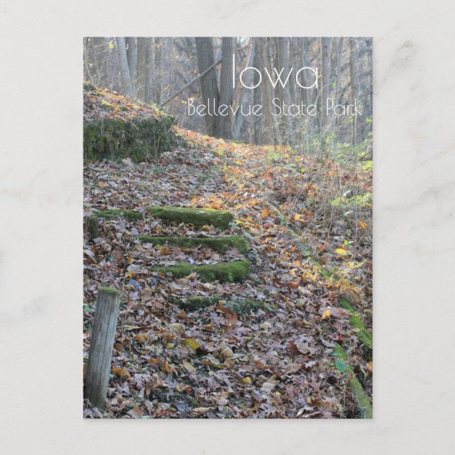 Bellevue Staat Park Postkarte (Vorderseite)