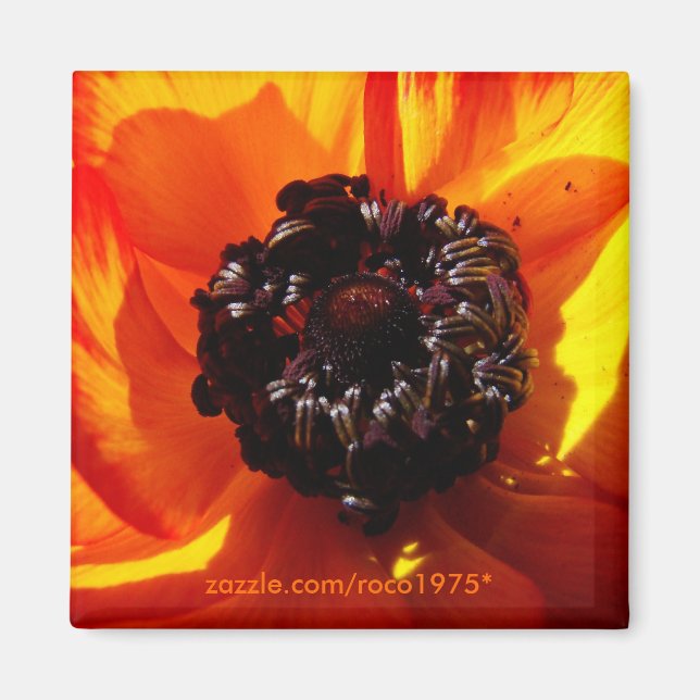Bellezza nelle ombre magnet (Vorne)