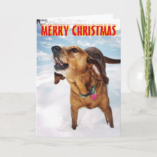Bellhund in der Schnee Weihnachtskarte Feiertagskarte (Vorderseite)