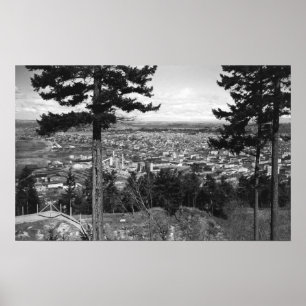 Bellingham, WA Stadtansicht von Sehome Hügel Poster