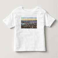 Bellingham, Washington - Antenne der Stadt