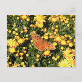 Bellingrath Butterfly Postkarte