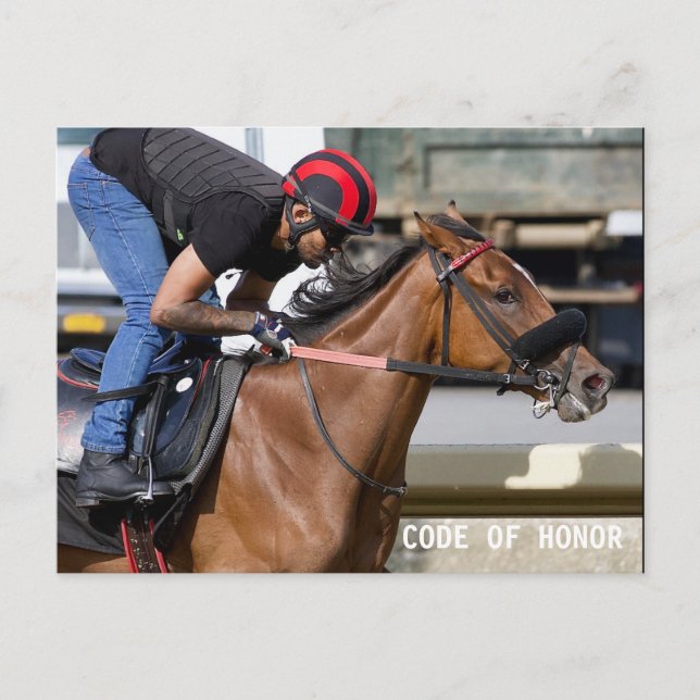 Belmont Park Training Track (1) Postkarte (Vorderseite)