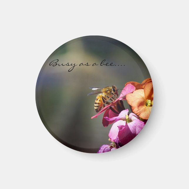 Belohnung für Bienen... Magnet (Vorne)