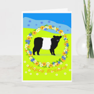 Belted Galloway calf birthday card Feiertagskarte
