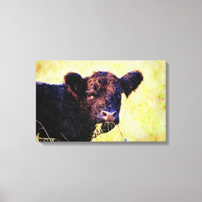 Beltie Kuh Aquarellmalerei Galloway Art Leinwanddruck (Vorderseite)
