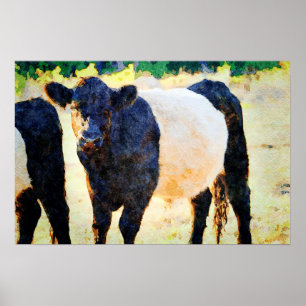 Beltie Kuh Aquarellmalerei Galloway Art Poster