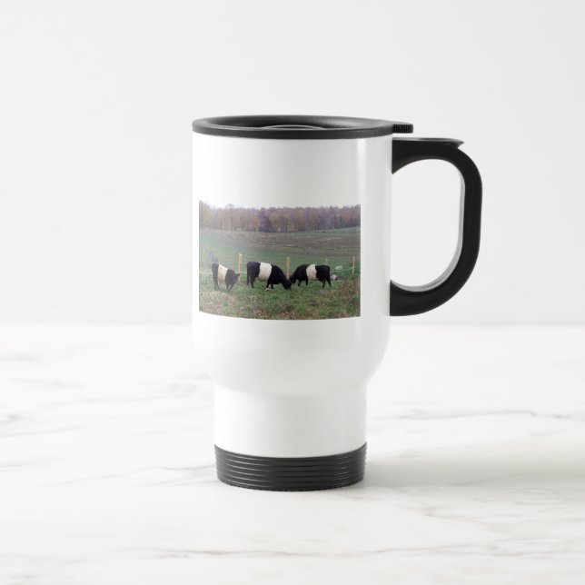 Beltie Kuh-Herde im Fall Reisebecher (Rechts)