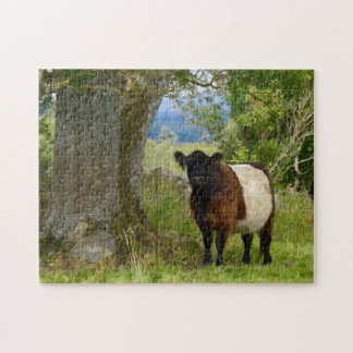 Beltie Puzzlespiel
