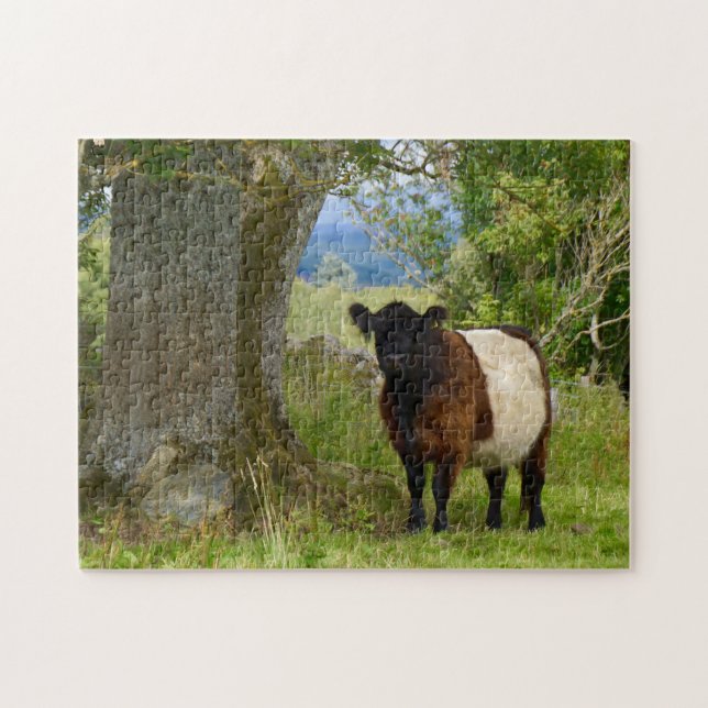 Beltie Puzzlespiel (Horizontal)