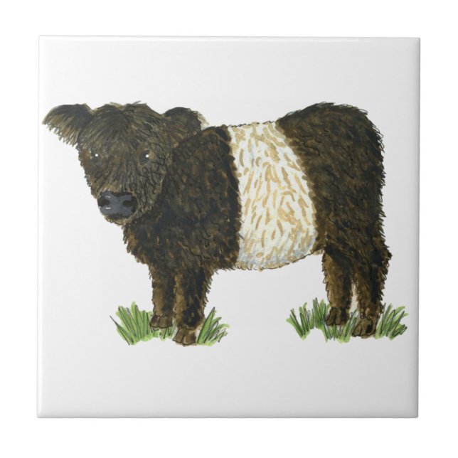 "Beltie" umgeschnallter Galloway Fliese (Vorderseite)