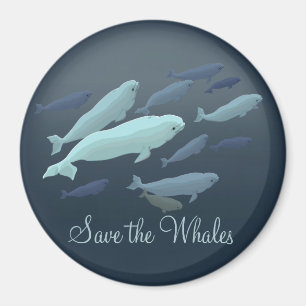 Beluga Kühlschrankmagnet Custom Beluga Whale Magne