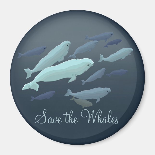 Beluga Kühlschrankmagnet Custom Beluga Whale Magne (Vorne)
