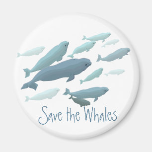 Beluga Kühlschrankmagnet Custom Beluga Whale Magne
