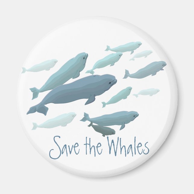 Beluga Kühlschrankmagnet Custom Beluga Whale Magne (Vorne)